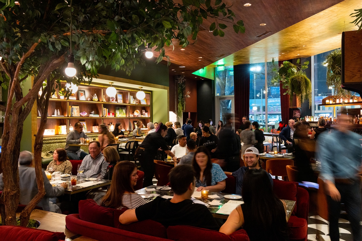 The Lymbar